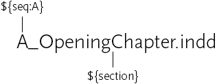 ${seq:A}_${section}