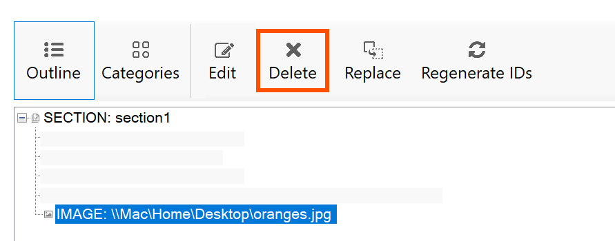 Deleting an image using the Document Explorer